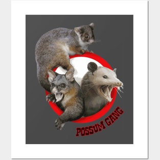 Possum Gang Posters and Art